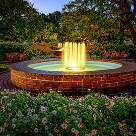 Twilight In The Garden.  by Jeff Sinon