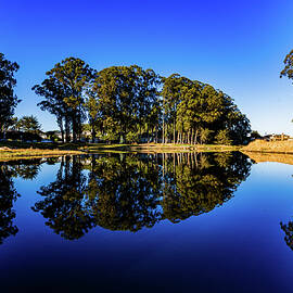 Twin Lakes Santa Cruz California by Tommy Farnsworth