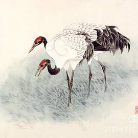 Two Black-necked Cranes by Zhan Gengxi