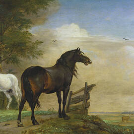 Two Horses near a Gate in the Meadow by Paulus Potter by The Luxury Art Collection