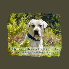 White Labrador in Pine Trees  Inspirational Wall Art by Waterdancer