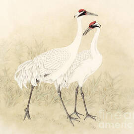 Two Whooping Cranes by Zhan Gengxi