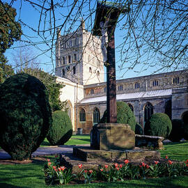 UK, Gloucestershire, Tewkesbury Abbey, spring colour by Seeables Visual Arts