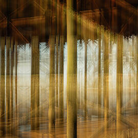 Under the Board Walk by Charnwood Photography Fine Art