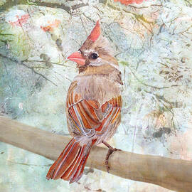 Under The Northern Light by Angeles M Pomata