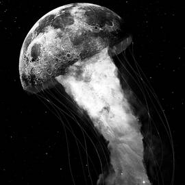 Underside of the Moon in Black and White by Nikki Marie Smith