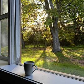 Upon a Spring Morning  by Mary Lee Dereske