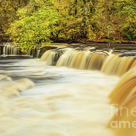 Upper Aysgarth falls on the River Ure, Wensleydale, UK by Neale And Judith Clark