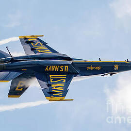 Upside Down Blue Angel by Jeff Saunders