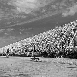 Valencia, City of the Arts and the Sciences -1 by Francisco Ruiz Navas
