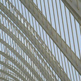 Valencia - The Umbracle Study 1 by Richard Reeve