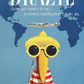 Varig Airlines - Rio de Janeiro - Brazil - Toucan with sunglasses and hat - Vintage travel poster by Francesc Petit