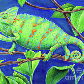 Veiled Chameleon by Rebecca Wang