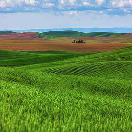 Velvet Hills of the Palouse by Kevin Schwalbe
