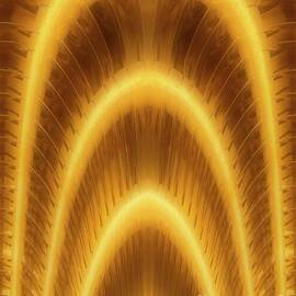 Venetian Blinds Scrap Abstract 2 by William Gunn