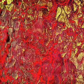 Vibrant Abstract Color tree bark by Bruce Block