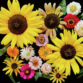 Vibrant Array of Sunflowers and Blooms by Mary Jo Allen
