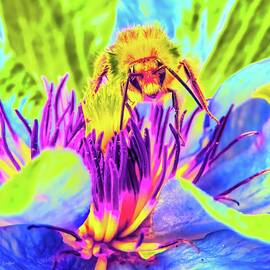 Vibrant Bee Gathering Nectar by Bruce Block