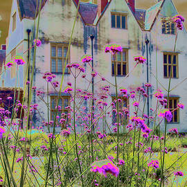 Vibrant Flowers Against Historic Manor in Wales by Bruce Block