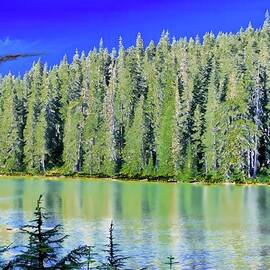 Vibrant Forest by Serene Lake by Bruce Block