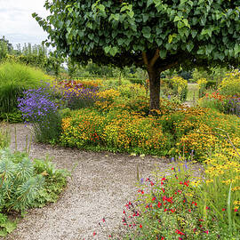 Vibrant Garden  by Shirley Mitchell