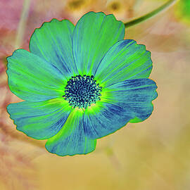 Vibrant Green Flower Against Abstract Background by Bruce Block