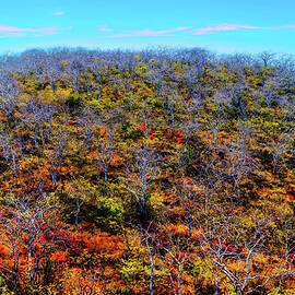 Vibrant  Hillside by Bruce Block