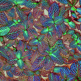 Vibrant Leaf Patterns by Bruce Block