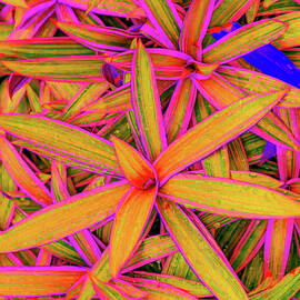 Vibrant Leaves in Bright Colors by Bruce Block