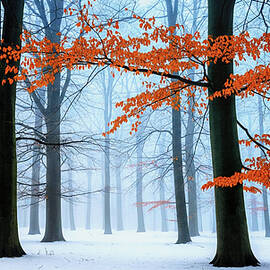 Vibrant Leaves in Misty Forest by The Luxury Art Collection