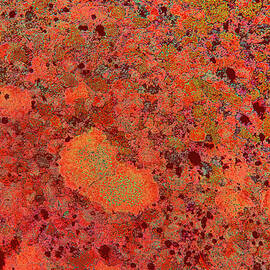 Vibrant Lichen Abstract Patterns by Bruce Block