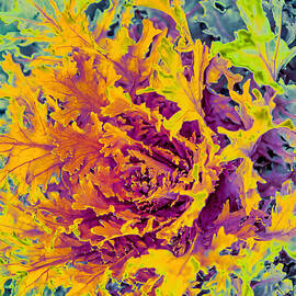 Vibrant ornamental cabbage Close-Up by Bruce Block