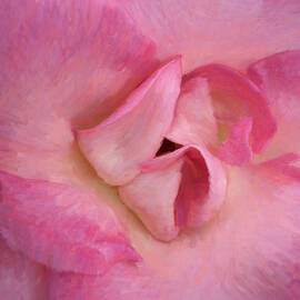 Vibrant Pink Rose Close-Up by Barbara Siegel