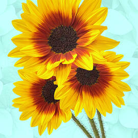 Vibrant Sunflower Trio by Sue Leonard