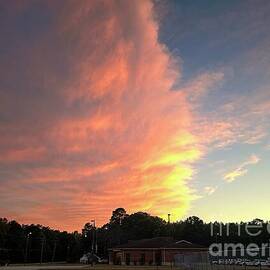 Vibrant Sunset Over Suburban Landscape by Catherine Wilson