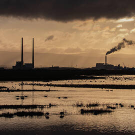 View Across The Mudflats to Poolbeg, Bull Island, Dublin, Ireland by Adrian Hendroff