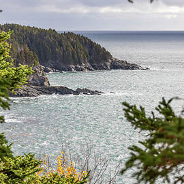 View from Middle Head Trail 2 by John Twynam
