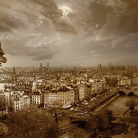 View of Paris From Notre Dame by Serge Ramelli