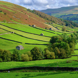 View of Swaledale by Seeables Visual Arts