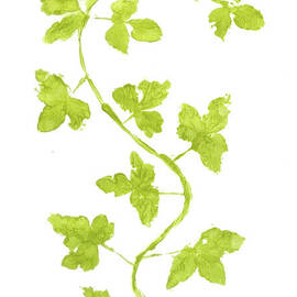 Vine Twist by Jorgo Photography