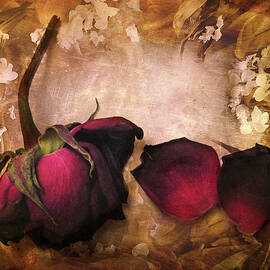 Vintage Rose Petals by Jessica Jenney