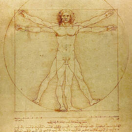 Vitruvian Man circa 1492 by Leonardo da Vinci