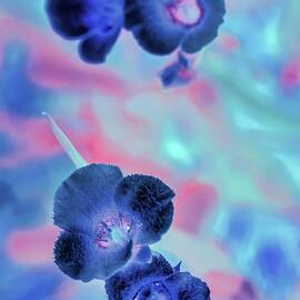 Vivid Blue Blossoms by Bruce Block
