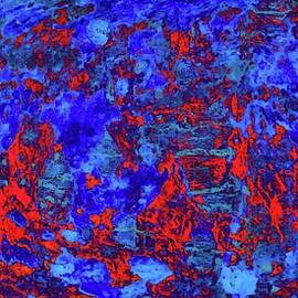 Vivid Red and Blue Abstract -driftwood by Bruce Block