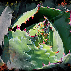 Succulent Impressions with Colorful Spines by Kelley King