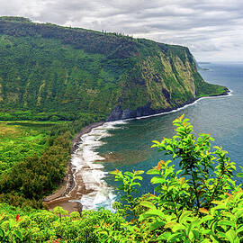 Waipio Valley by Abbie Matthews