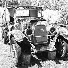 Waiting in the Sun by Richard Reeve