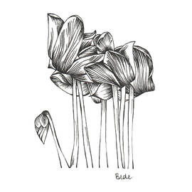 Wake Up In Paradise by Catherine Bede