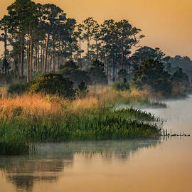 Waking Up In The Glades by Rebecca Herranen