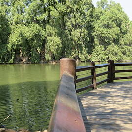 Walk In The Park by Raymond Fernandez